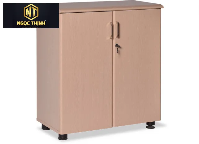 Tủ tài liệu thấp cánh mở kết hợp giữa hai chất liệu là Laminate và Melamine NT880D